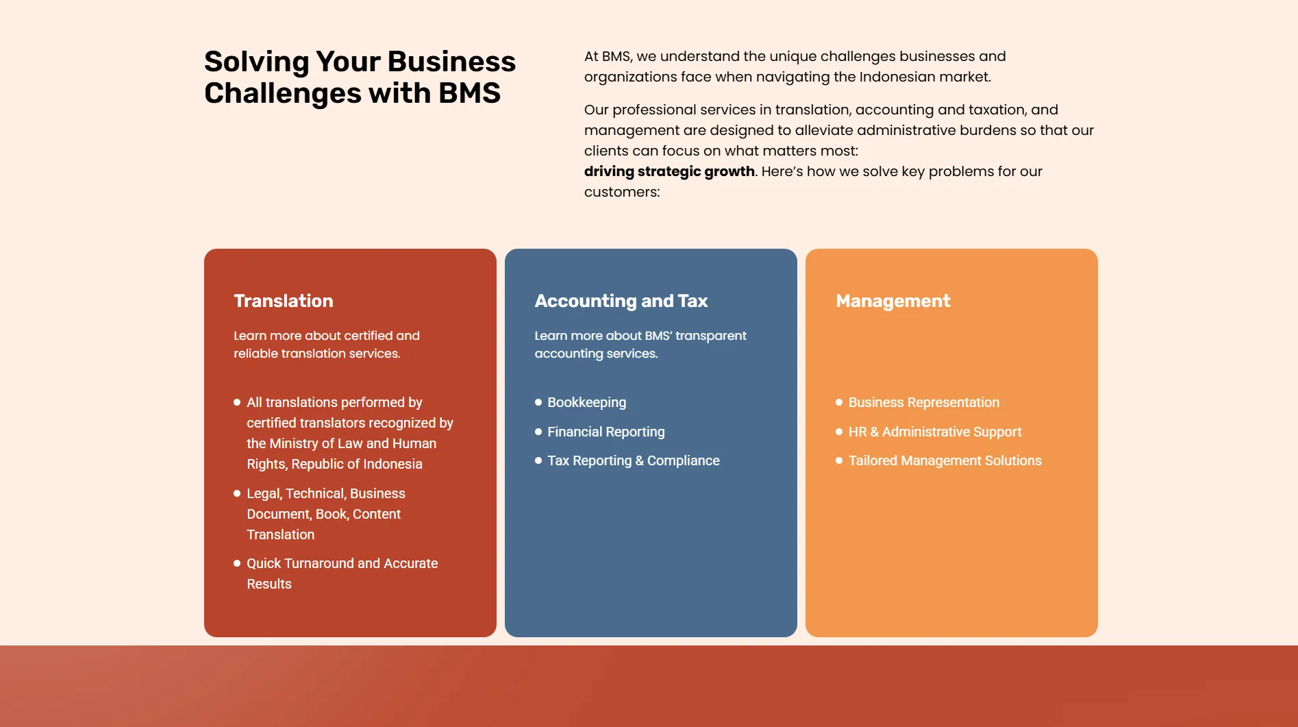 BMS - Businnes Consulting